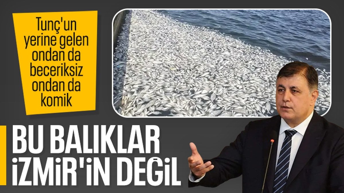 İzmir Büyükşehir Belediye Başkanı Cemil Tugay: Ölen balıklar buraya ait değil