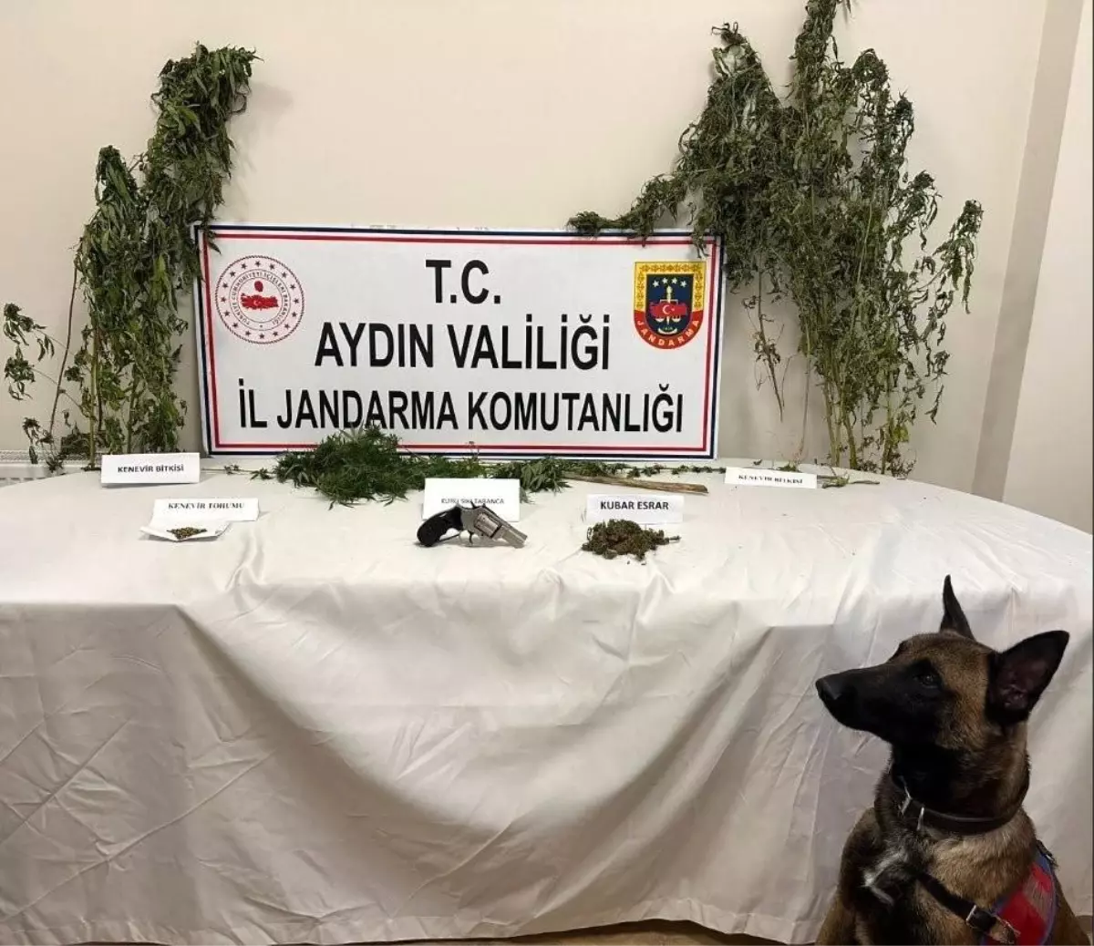 Aydın’da Uyuşturucu Baskını: 1 Gözaltı